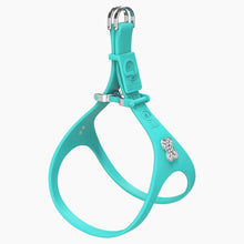 Load image into Gallery viewer, Boneflex Ultra Teal Harness