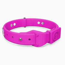 Load image into Gallery viewer, Boneflex Ultra Hot Pink Collar