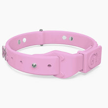 Load image into Gallery viewer, Boneflex Limited Ultra Lavender Collar