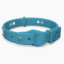 Load image into Gallery viewer, Boneflex Signature Silver Bones Collar