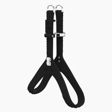 Load image into Gallery viewer, QuiltFLY Signature Spike Bones Harness