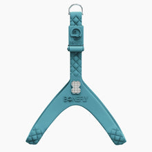 Load image into Gallery viewer, QuiltFLY Signature Spike Bones Harness