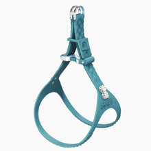 Load image into Gallery viewer, QuiltFLY Signature Spike Bones Harness