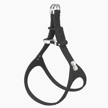 Load image into Gallery viewer, QuiltFLY Signature Spike Bones Harness