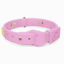 Load image into Gallery viewer, Boneflex Signature Spike Gold Collar