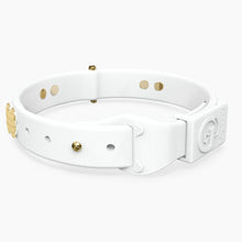Load image into Gallery viewer, Boneflex Signature Spike Gold Collar