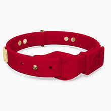 Load image into Gallery viewer, Boneflex Signature Spike Gold Collar