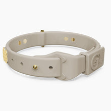 Load image into Gallery viewer, Boneflex Signature Spike Gold Collar
