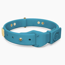 Load image into Gallery viewer, Boneflex Signature Spike Gold Collar