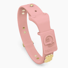 Load image into Gallery viewer, Boneflex Signature Spike Gold Collar