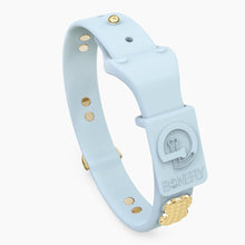 Load image into Gallery viewer, Boneflex Signature Spike Gold Collar