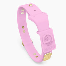 Load image into Gallery viewer, Boneflex Signature Spike Gold Collar