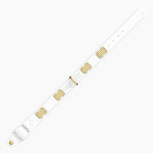 Load image into Gallery viewer, Boneflex Signature Spike Gold Collar