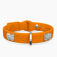 Load image into Gallery viewer, Boneflex Signature Spike Silver Collar