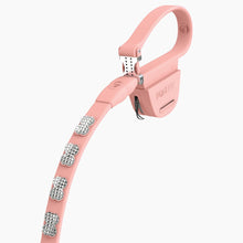 Load image into Gallery viewer, Boneflex Signature Spike Silver Leash