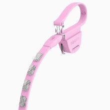 Load image into Gallery viewer, Boneflex Signature Spike Silver Leash