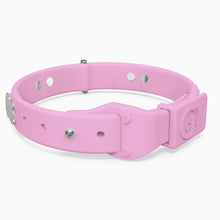 Load image into Gallery viewer, Boneflex Limited Ultra Lavender Collar