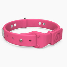 Load image into Gallery viewer, Boneflex Signature Spike Silver Collar