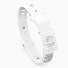 Load image into Gallery viewer, Boneflex Signature Spike Silver Collar