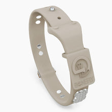 Load image into Gallery viewer, Boneflex Signature Spike Silver Collar