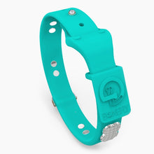 Load image into Gallery viewer, Boneflex Signature Spike Silver Collar