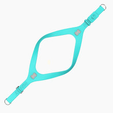 Load image into Gallery viewer, Boneflex Signature Spike Silver Harness