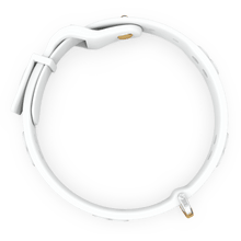 Load image into Gallery viewer, Boneflex Signature Spike Silver Collar