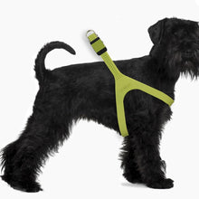 Load image into Gallery viewer, Spikefly Harness