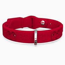 Load image into Gallery viewer, Boneflex Collars Silver