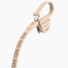 Load image into Gallery viewer, Boneflex leash
