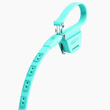 Load image into Gallery viewer, Boneflex leash
