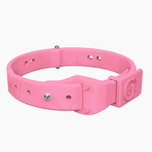 Load image into Gallery viewer, Boneflex+ Collars Silver
