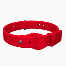 Load image into Gallery viewer, Boneflex+ Collars Silver

