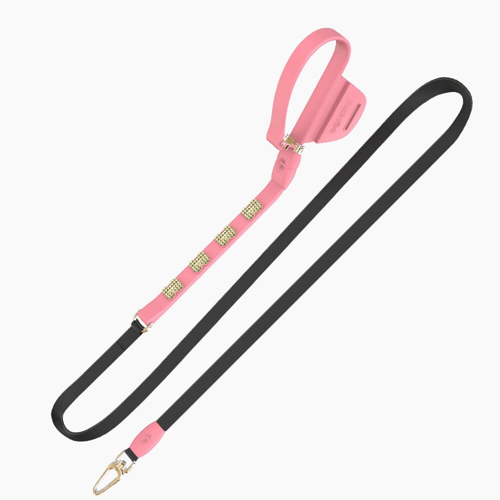 Boneflex Signature Spike Gold Leash