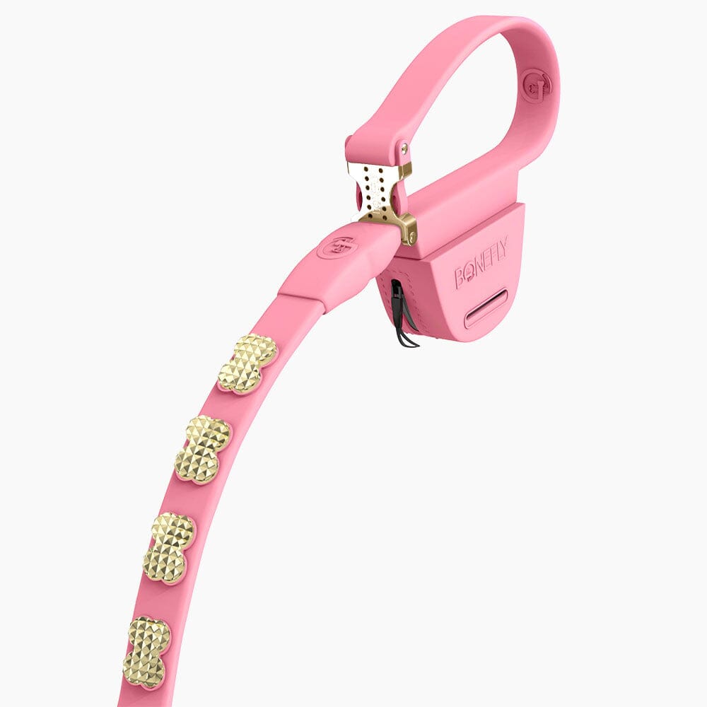 Boneflex Signature Spike Gold Leash