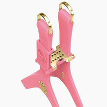 Load image into Gallery viewer, Boneflex Signature Spike Gold Harness
