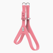 Load image into Gallery viewer, Boneflex Signature Spike Silver Harness
