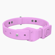 Load image into Gallery viewer, Boneflex+ Ultra Lavender Collar
