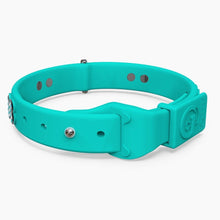 Load image into Gallery viewer, Boneflex Ultra Teal Collar
