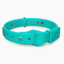 Load image into Gallery viewer, Boneflex Ultra Teal Collar
