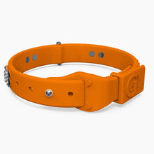 Load image into Gallery viewer, Boneflex Limited Ultra Mandarine Collar
