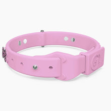 Load image into Gallery viewer, Boneflex Limited Ultra Lavender Collar
