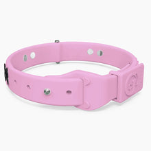 Load image into Gallery viewer, Boneflex Signature Black Bone Collar
