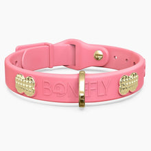 Load image into Gallery viewer, Boneflex Signature Spike Gold Collar
