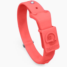 Load image into Gallery viewer, SpikeFLY+ Collar
