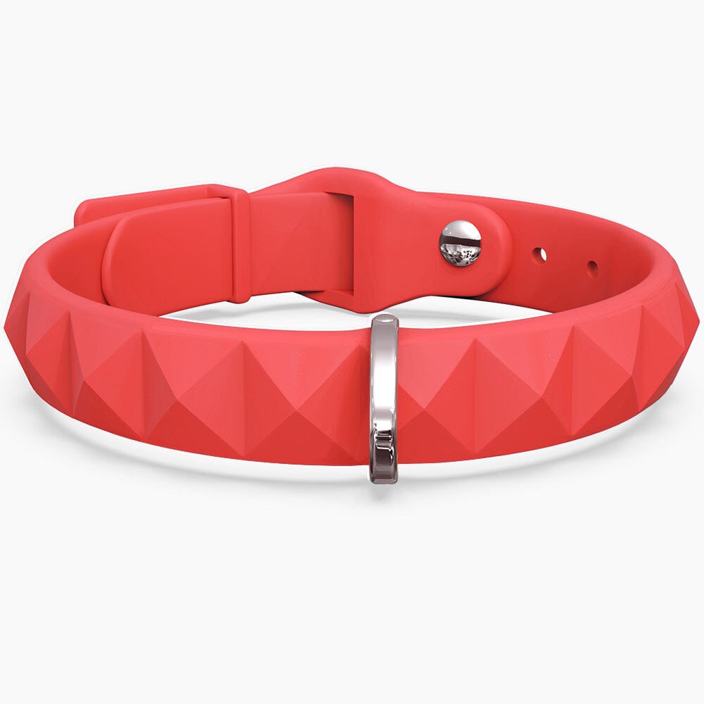 SpikeFLY+ Collar