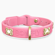 Load image into Gallery viewer, Boneflex Signature Gold Bones Collar
