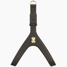 Load image into Gallery viewer, Boneflex Signature Gold Bone Harness
