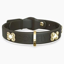 Load image into Gallery viewer, Boneflex Signature Gold Bones Collar
