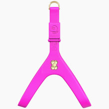 Load image into Gallery viewer, Boneflex Signature Gold Bone Harness

